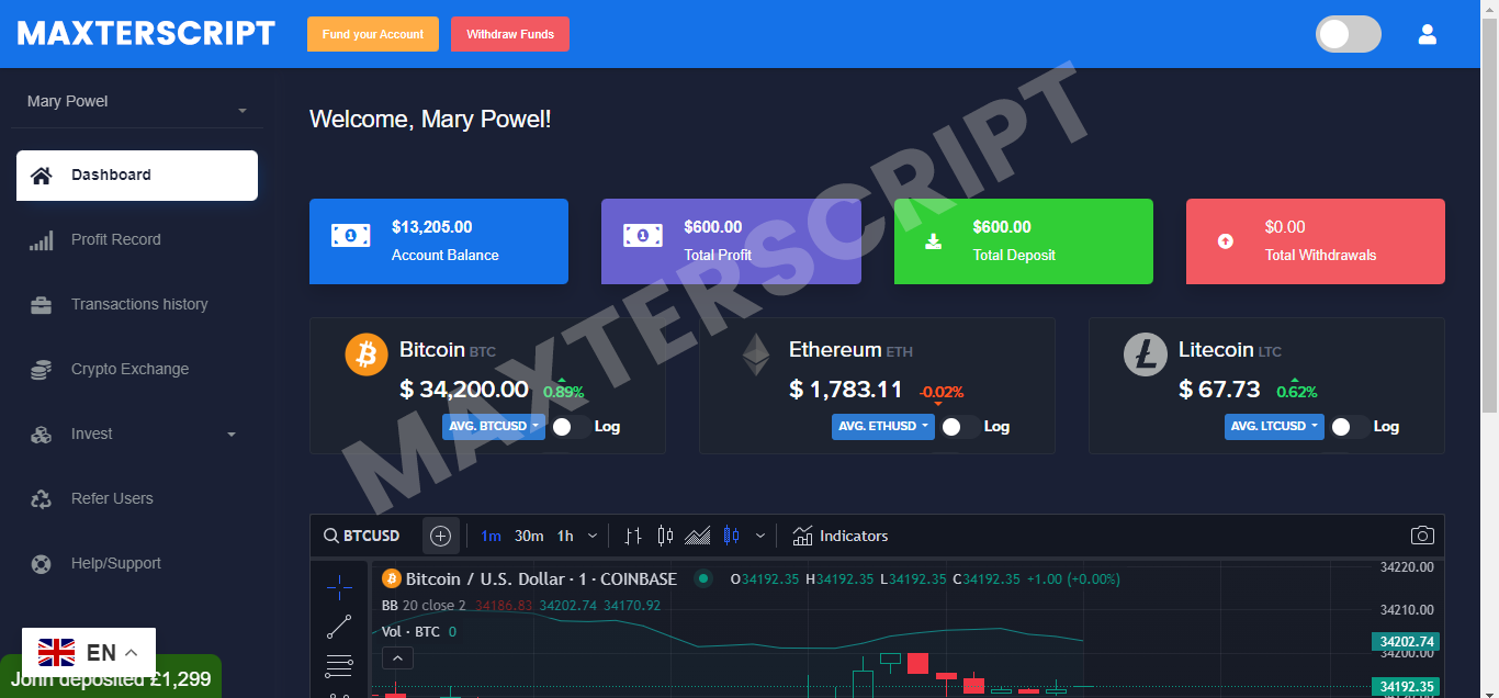 Hubbit-Trader – Responsive Forex and crypto trading php script.